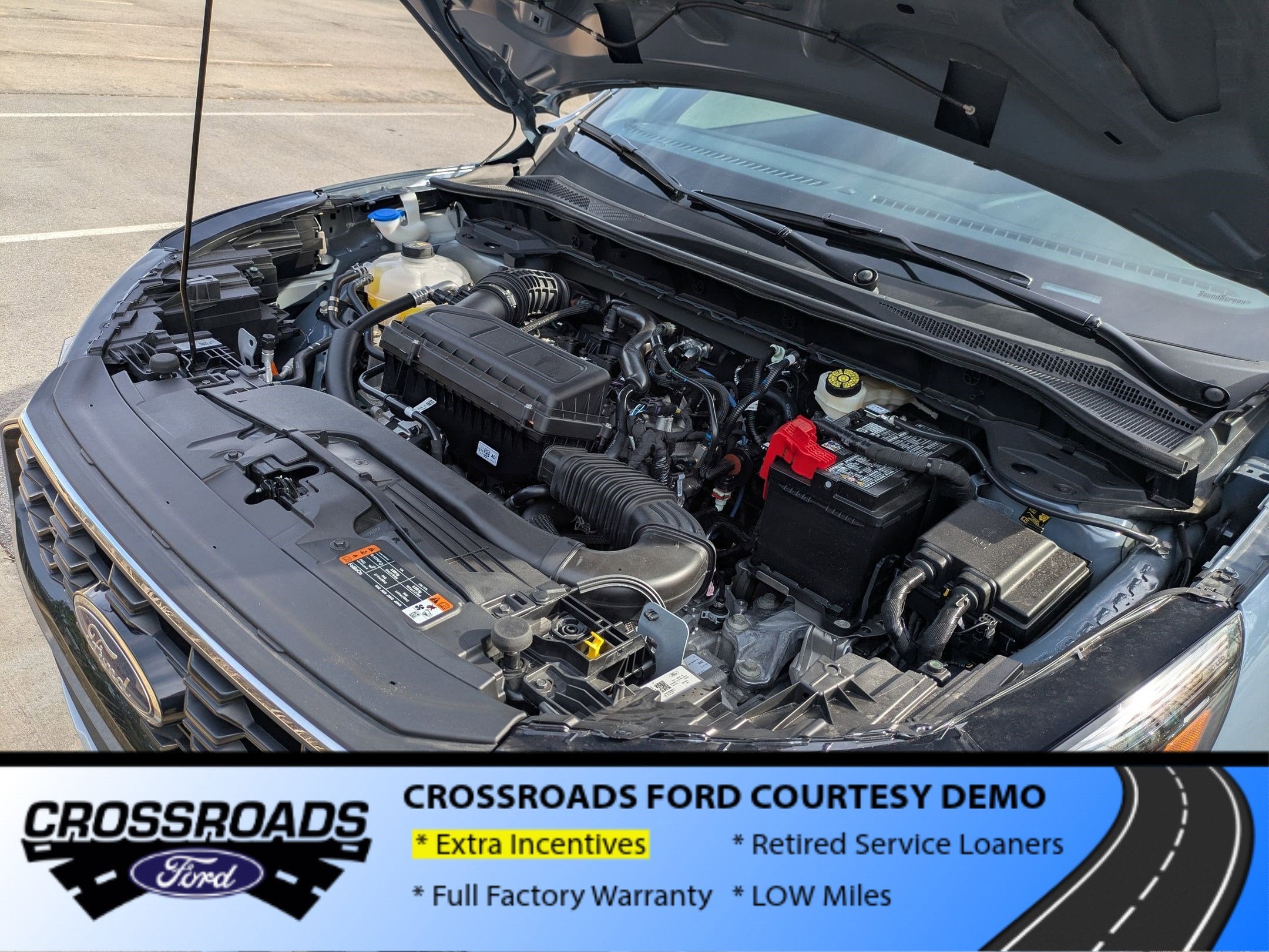 2025 Ford Escape ST-Line - Crossroads Courtesy Demo