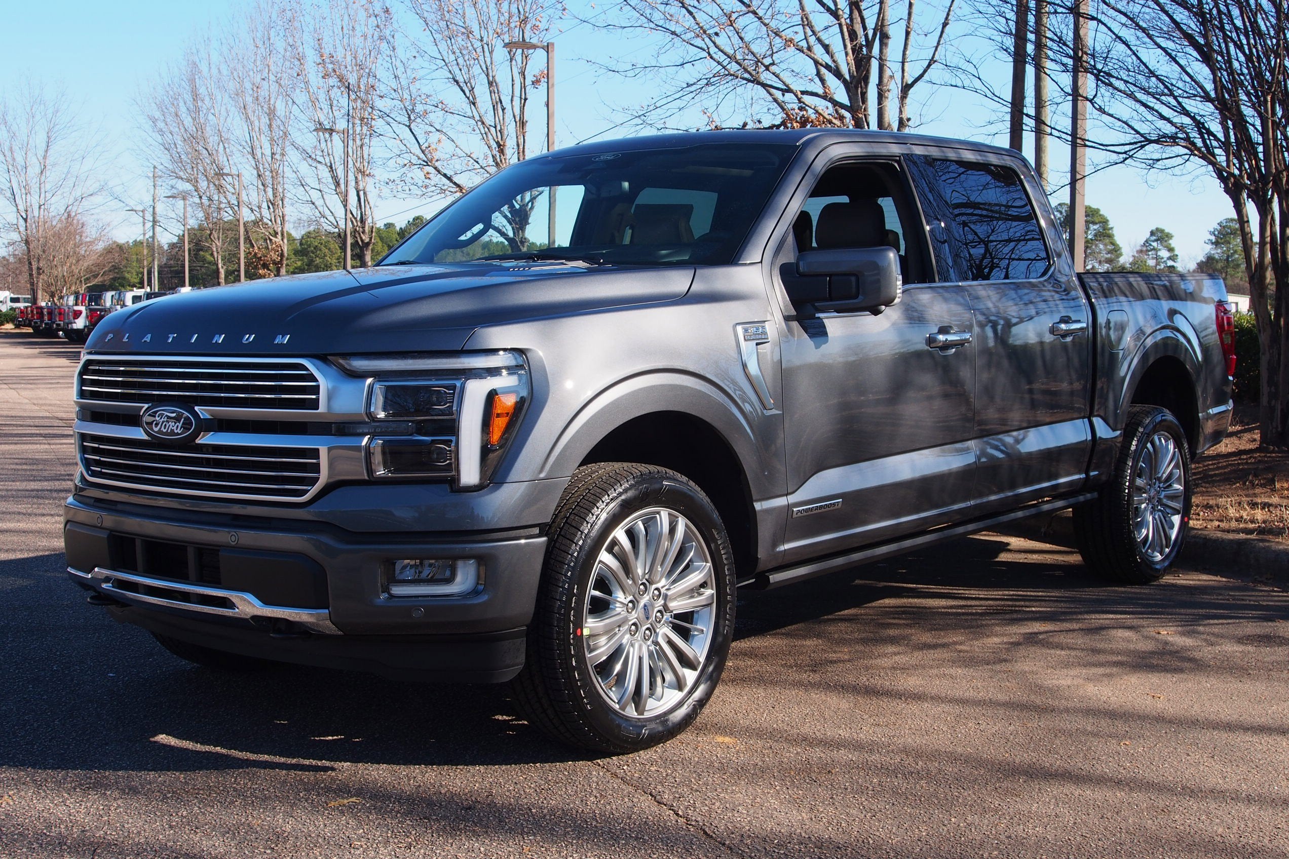2025 Ford F-150 Platinum