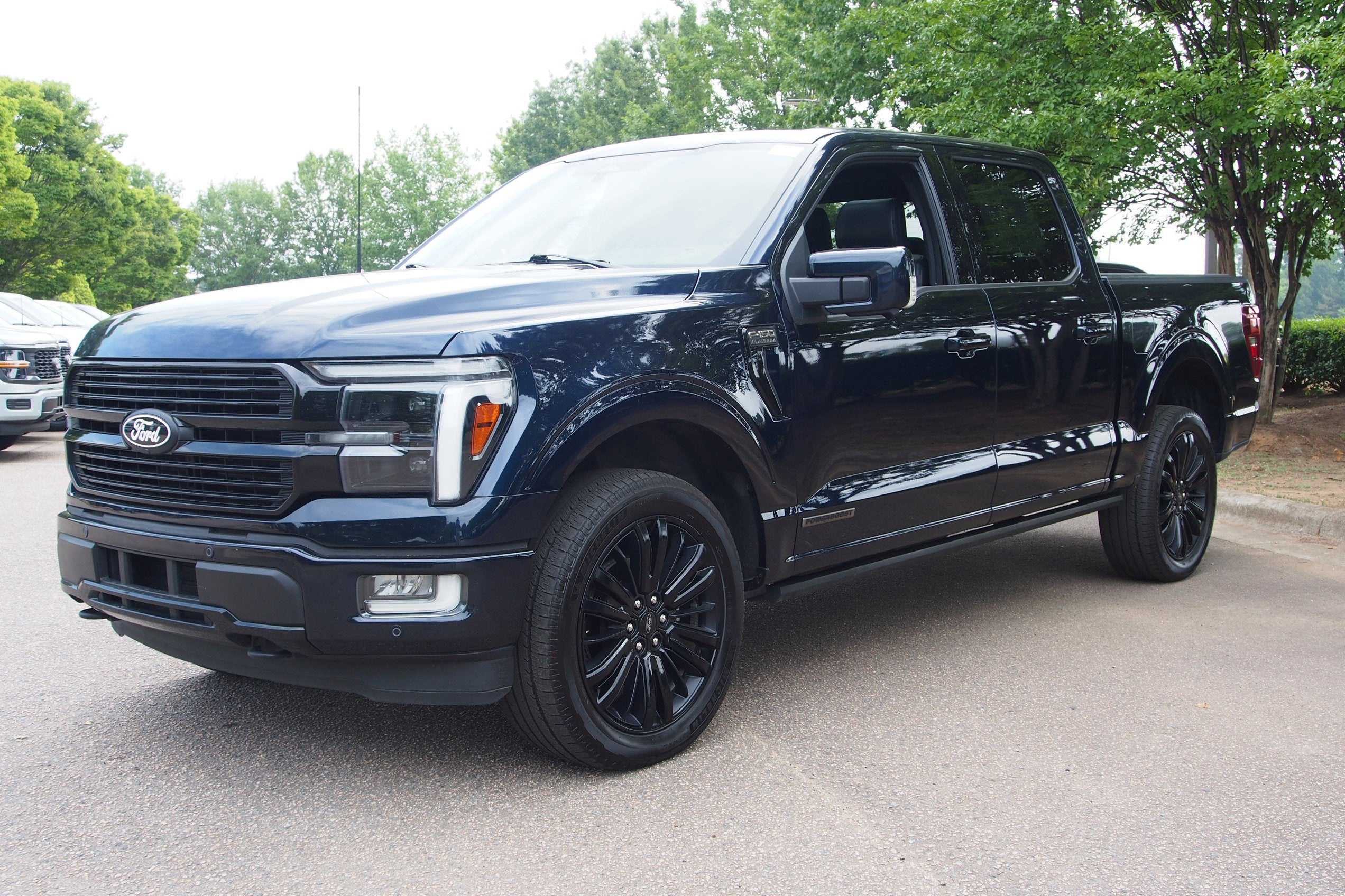 2025 Ford F-150 Platinum