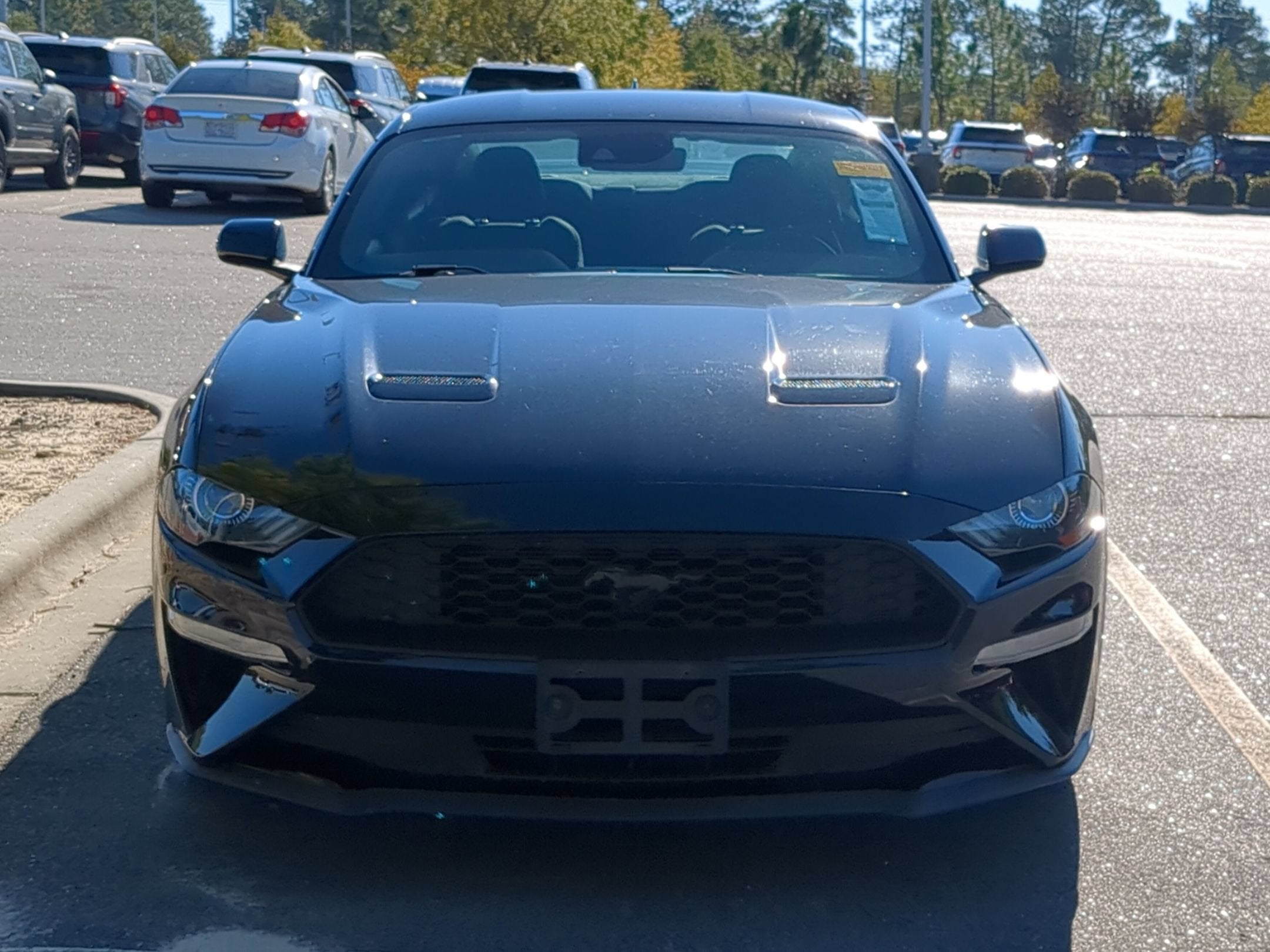 2023 Ford Mustang EcoBoost