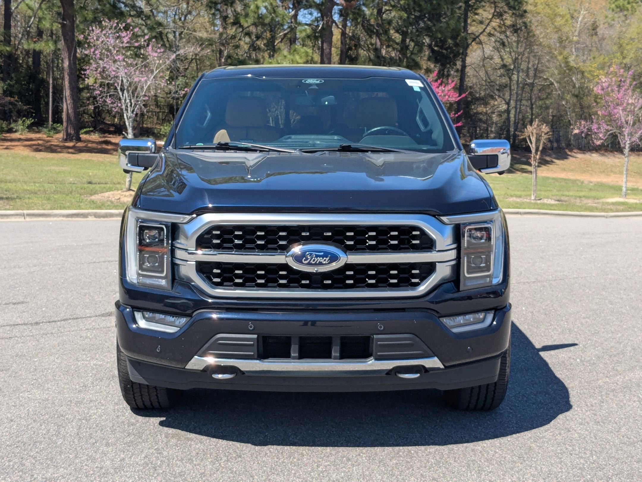 2022 Ford F-150 Platinum