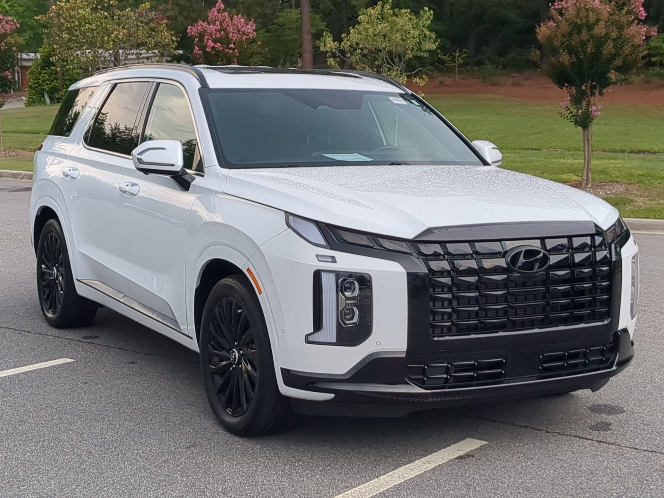 2024 Hyundai Palisade Calligraphy Night Edition