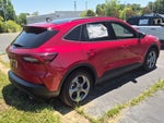 2025 Ford Escape ST-Line - Crossroads Courtesy Demo