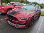 2019 Ford Mustang Shelby GT350