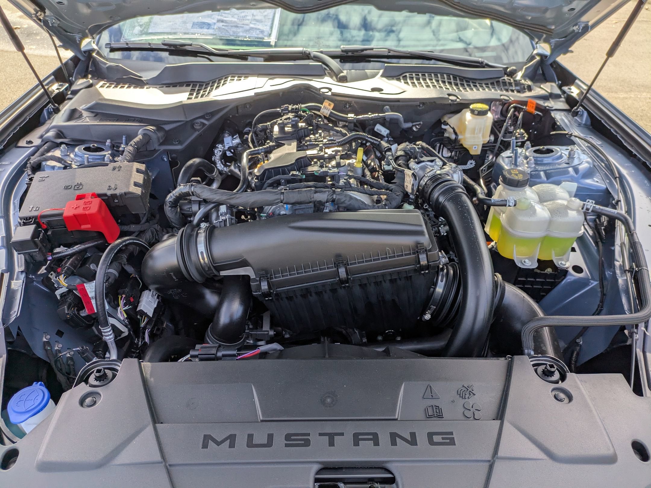 2026 Ford Mustang EcoBoost