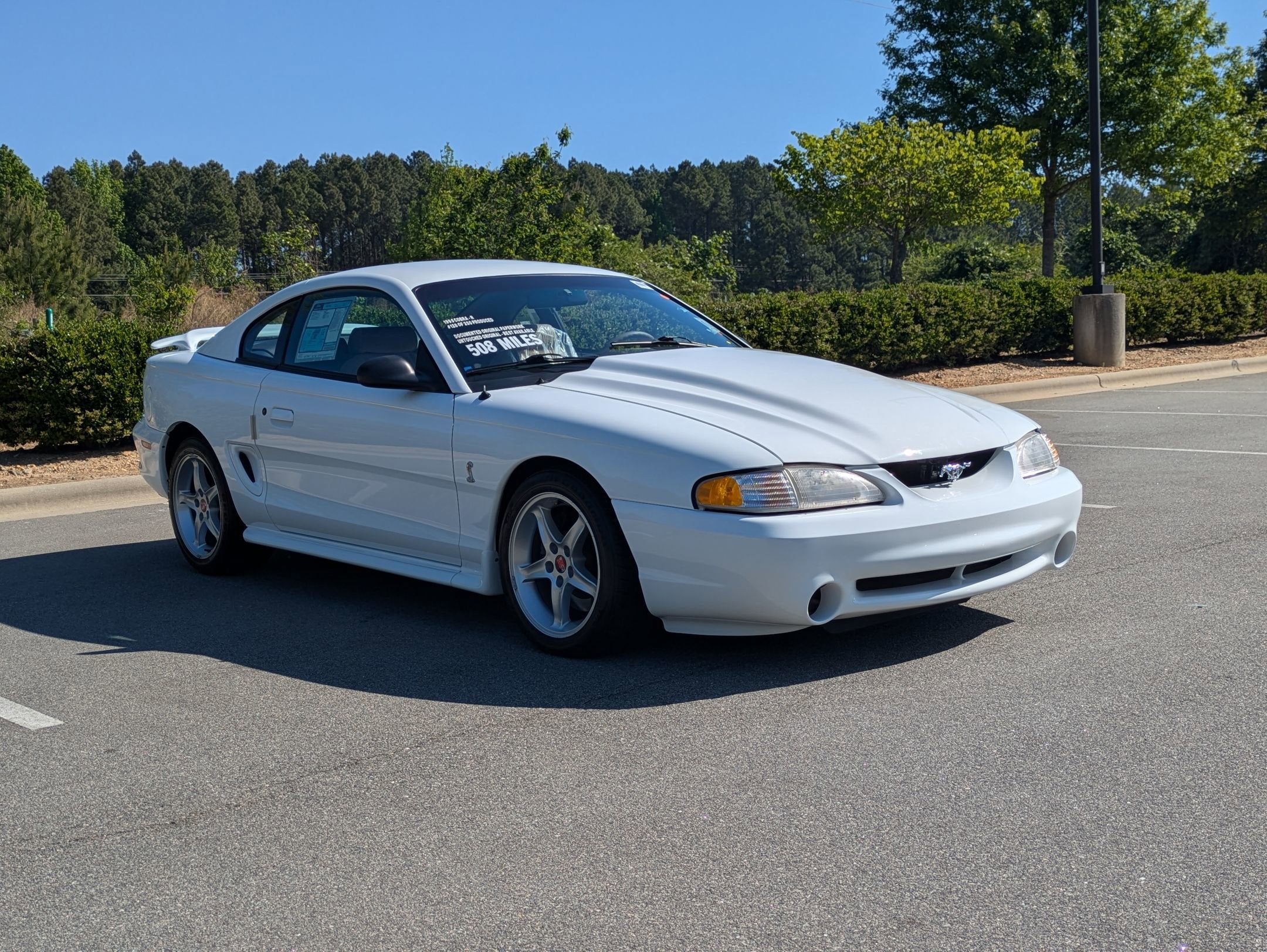 1995 Ford Mustang SVT Cobra