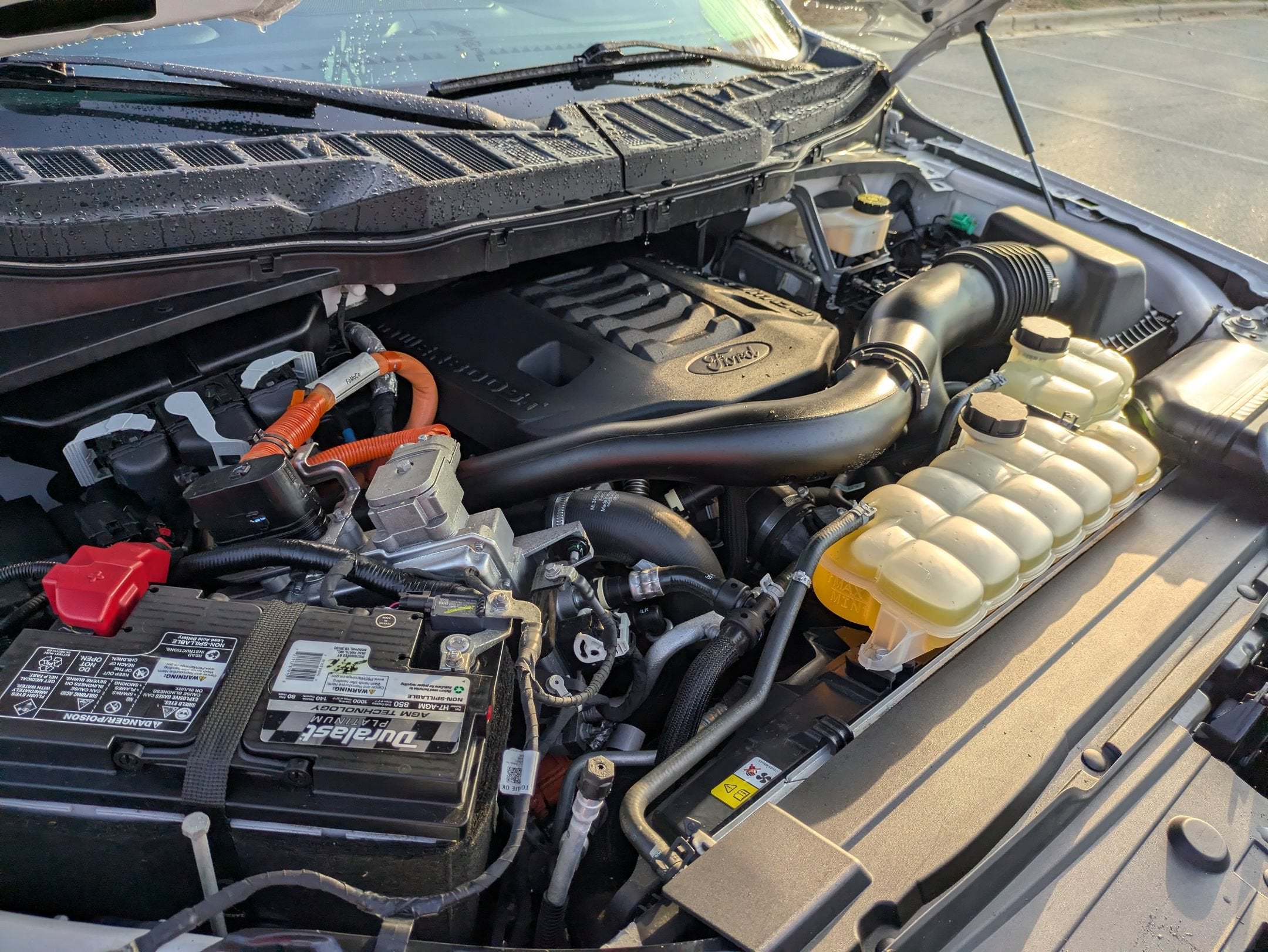2021 Ford F-150 Platinum