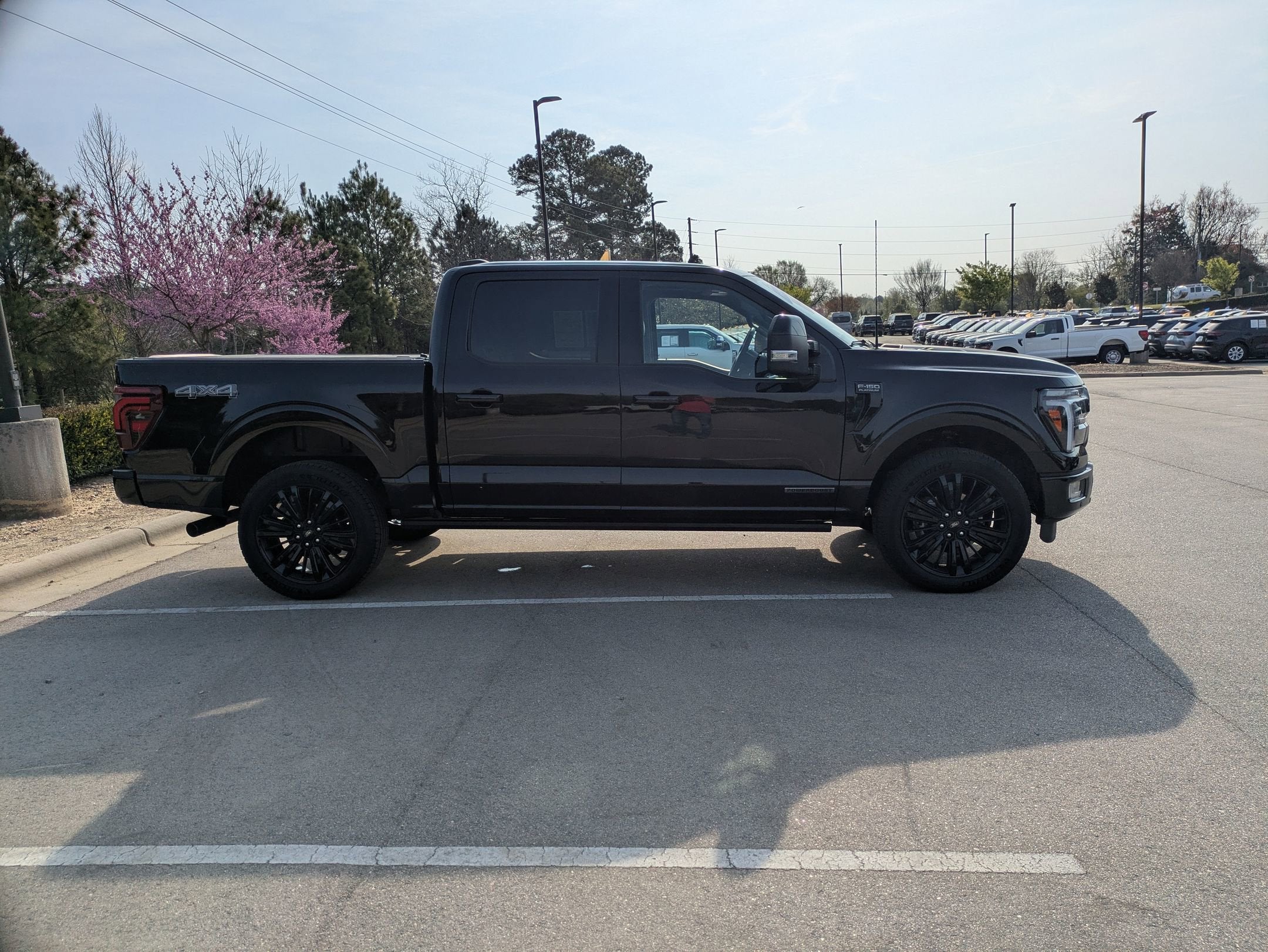 2025 Ford F-150 Platinum