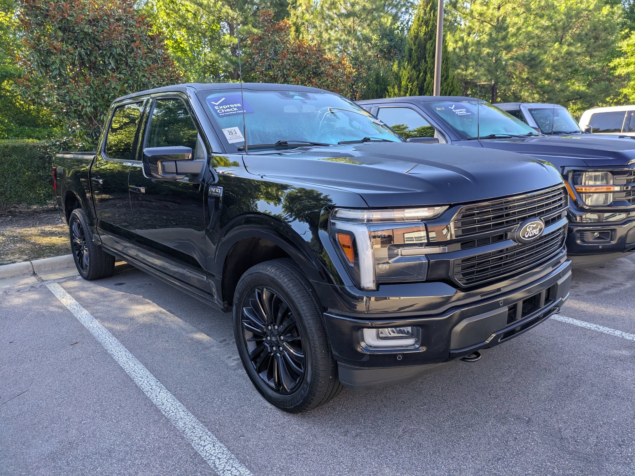 2025 Ford F-150 Platinum